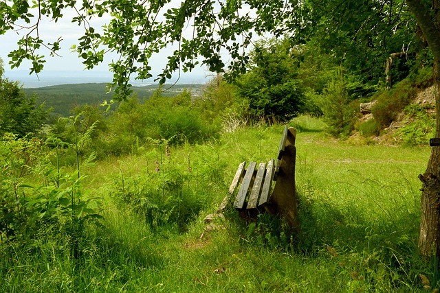 更是对他技 更是对他技